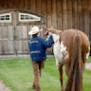 Meet your Posher, Charles grady